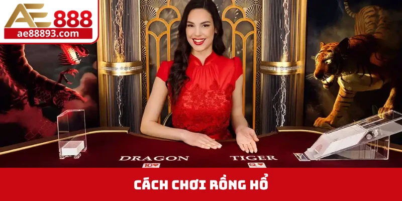 cách chơi rồng hổ