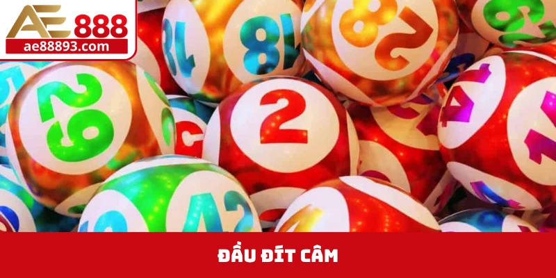 đầu đít câm