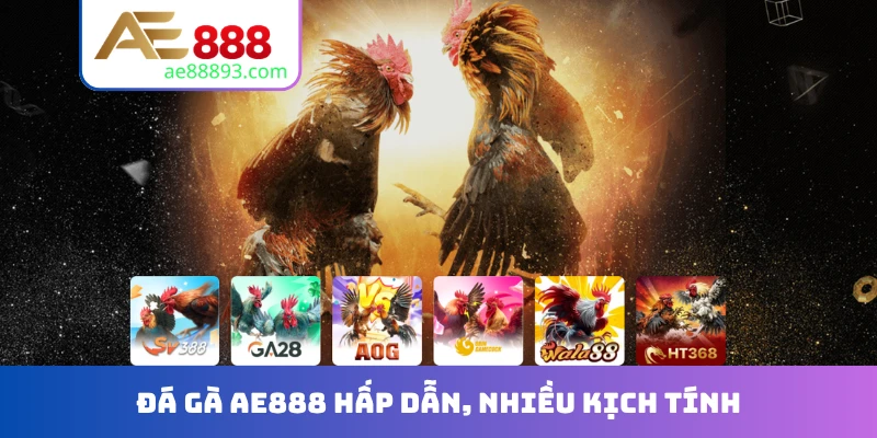 Đá gà AE888 hấp dẫn, nhiều kịch tính