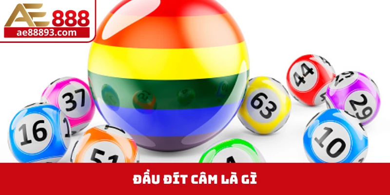 Đầu đít câm là gì?
