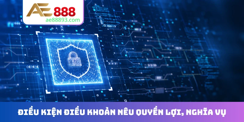 Điều kiện điều khoản nêu quyền lợi, nghĩa vụ