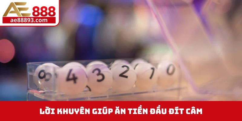 Lời khuyên giúp ăn tiền đầu đít câm