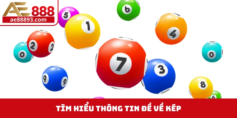 Tìm hiểu thông tin đề về kép